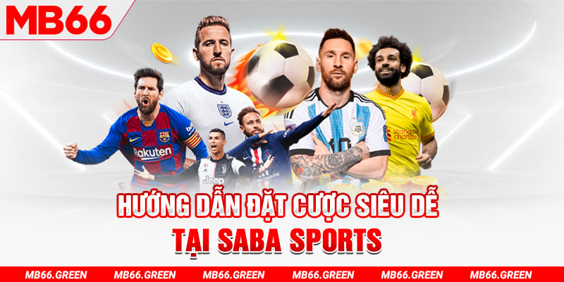 vip win trực tiếp gà chọi c1