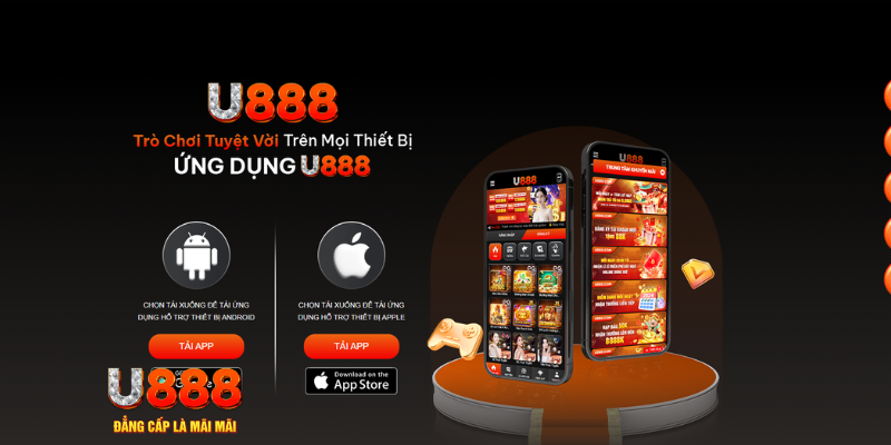 vip win cá cược bóng đá như thế nào