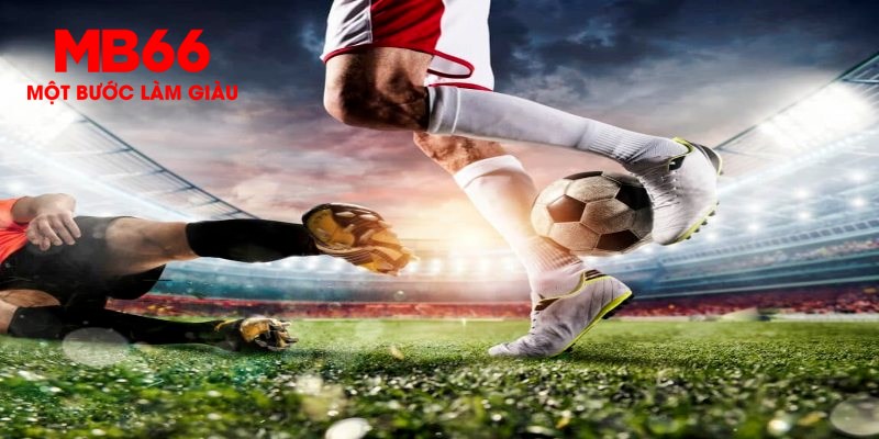 trực tiếp đá gà thomo
