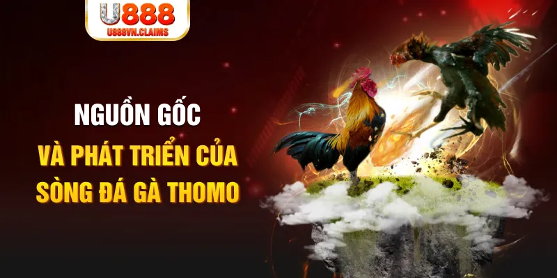 vip win baccarat online la gì