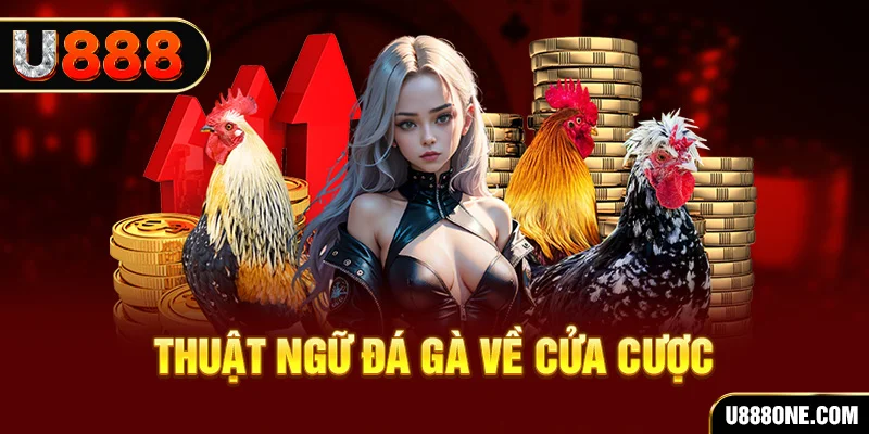 vip win hơn cả bạn bè