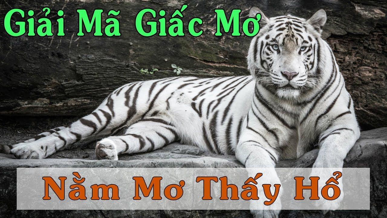 vip win nổ hũ là game gì