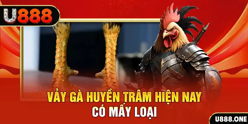 vip win xổ số bình định