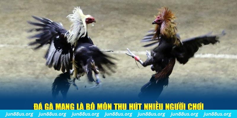 vip win nổ hủ nghĩa là gì