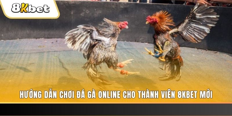 vip win JILI Game Bài 3d