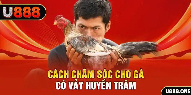 vip win bắn cá xèng 3