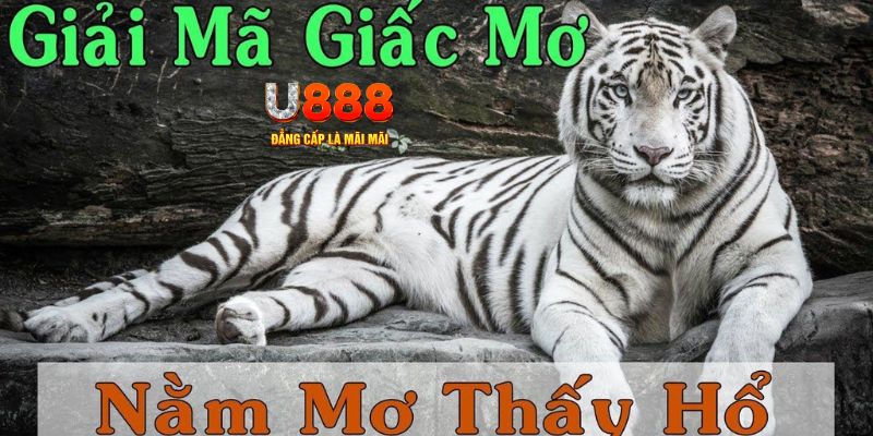 vip win xổ số miền bắc xổ số miền bắc