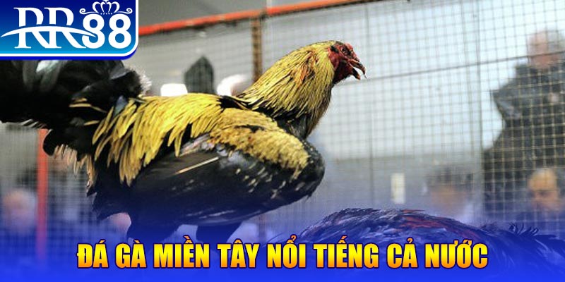 vip win xổ số đại phát