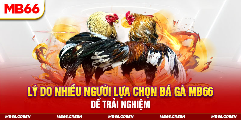 vip win đăng nhập liêng trực tiếp