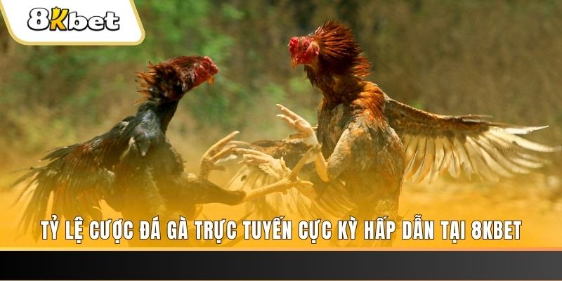vip win đăng nhập mậu binh online