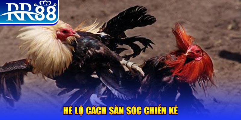 vip win xổ số miền trung thứ tư
